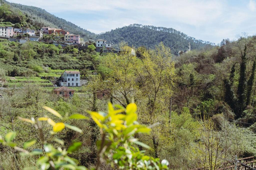 Residenza Nemus Mare E Montagna Apartment Graveglia Luaran gambar